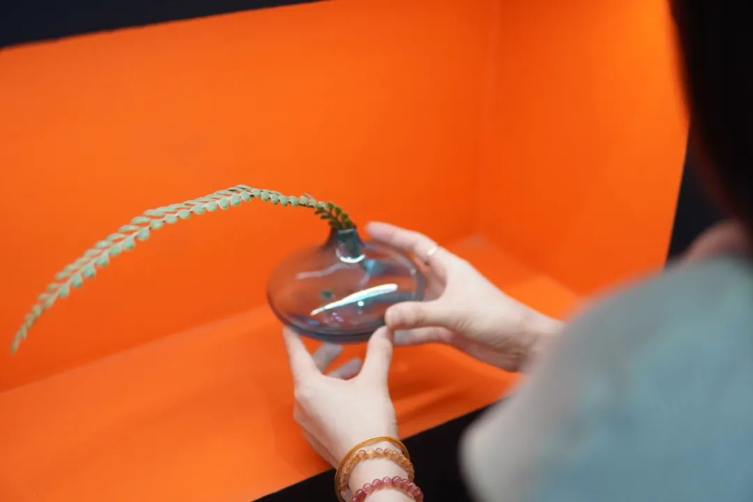 会员推荐 | LOUIS LONG ：路易诗兰色彩体系的传承与行业革新的背后......(图9)