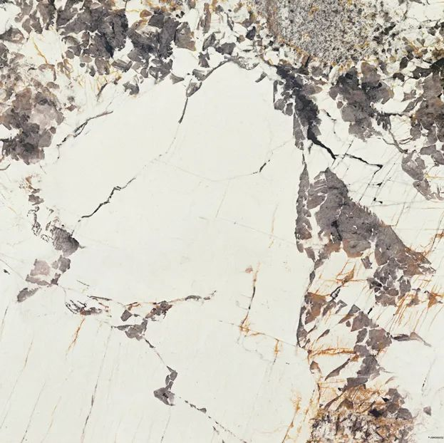 会员推荐 丨圣堡龙陶瓷：新品 | 1200*1200mm美拉德，高阶暖调生活(图11)